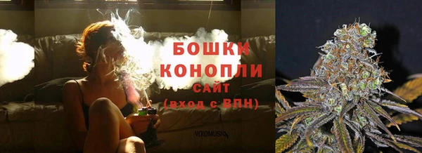 дживик Беломорск
